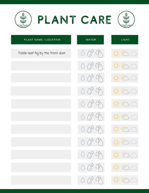 Creating a Routine for Plant Care schedule Success - Plant Haven Indoor