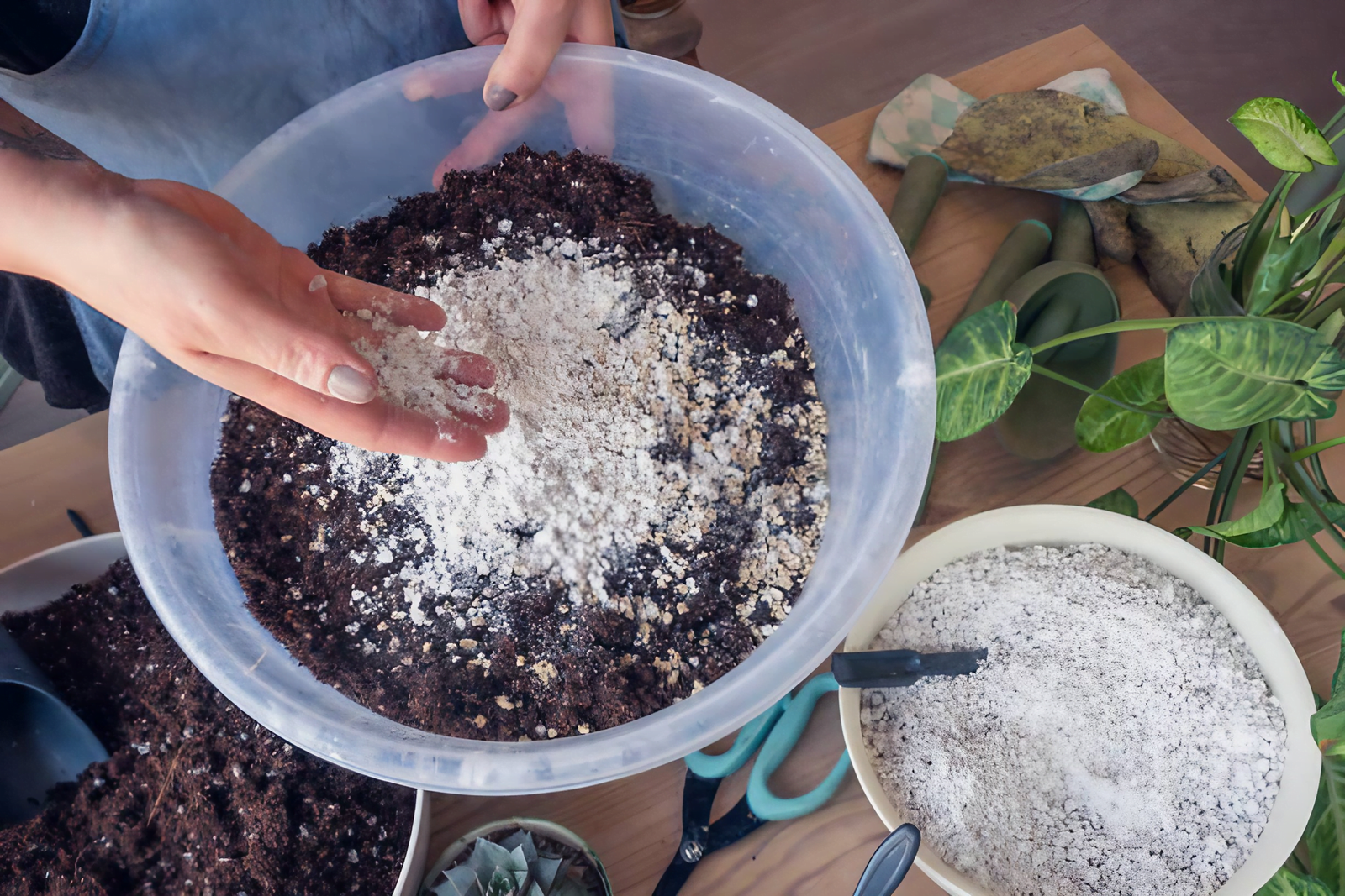 Indoor house plant fertilizer