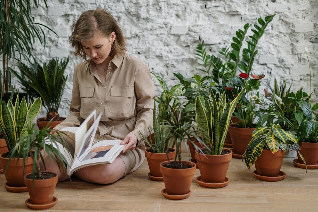 INDOOR PLANT CARE