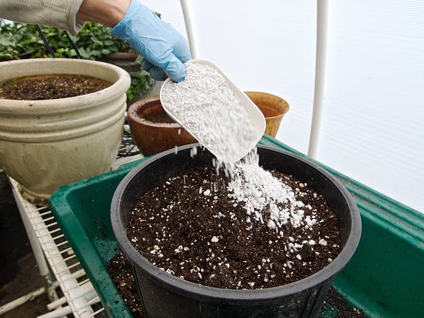 Perlite for soil