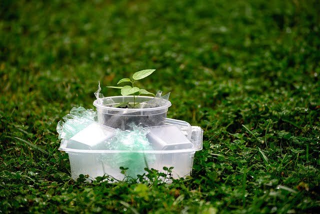 7 Plant Products You Should Throw Away